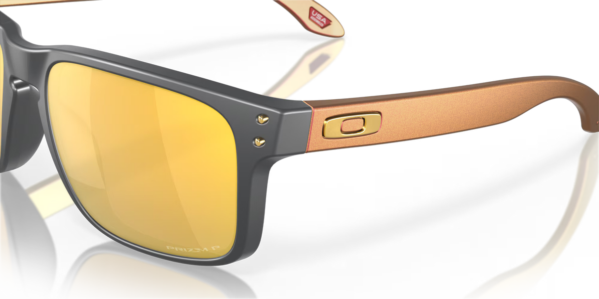Holbrook Prizm Polar