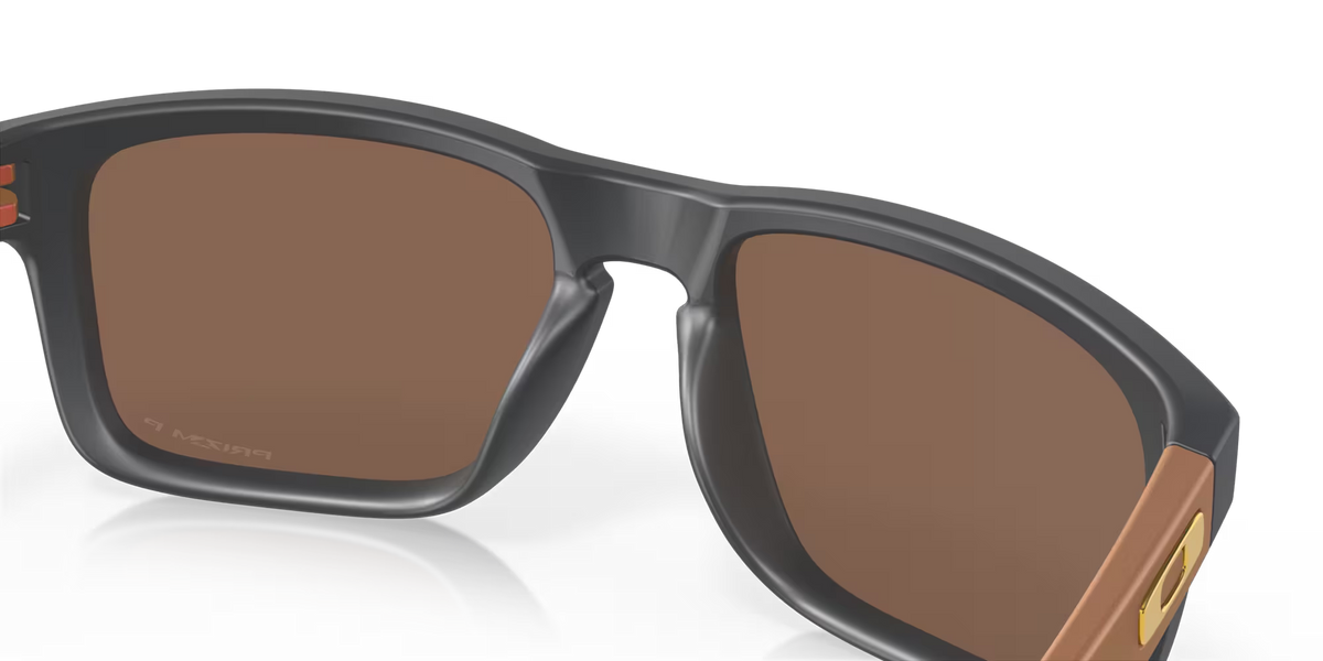 Holbrook Prizm Polar
