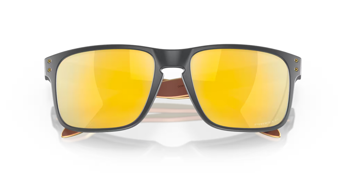 Holbrook Prizm Polar