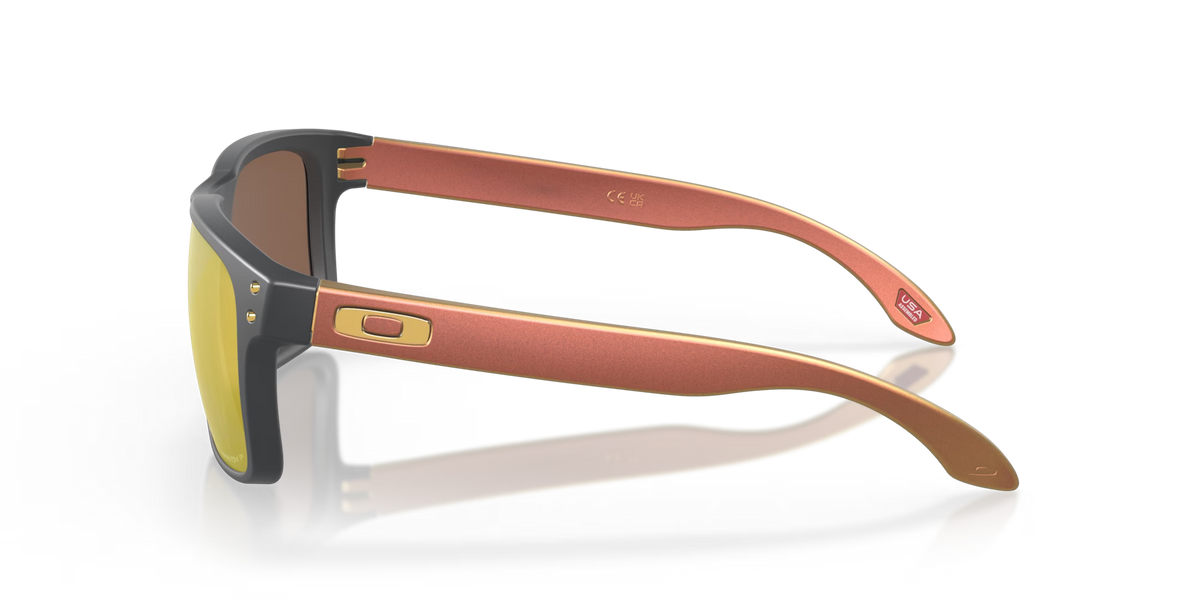 Holbrook Prizm Polar