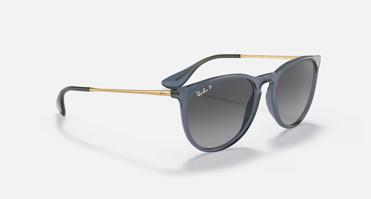 Erika Classic Polar
