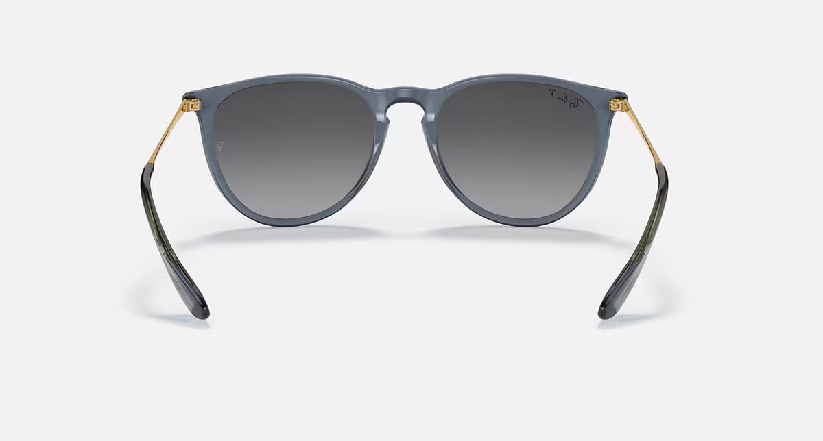 Erika Classic Polar