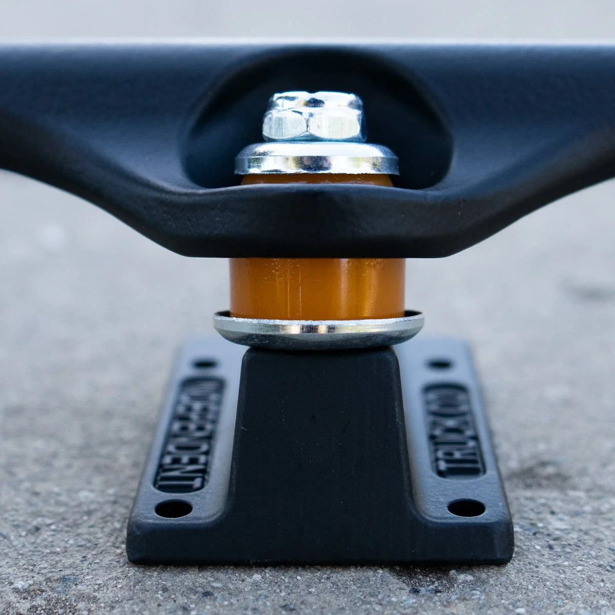 149 Stage 11 Blackout Standard Trucks