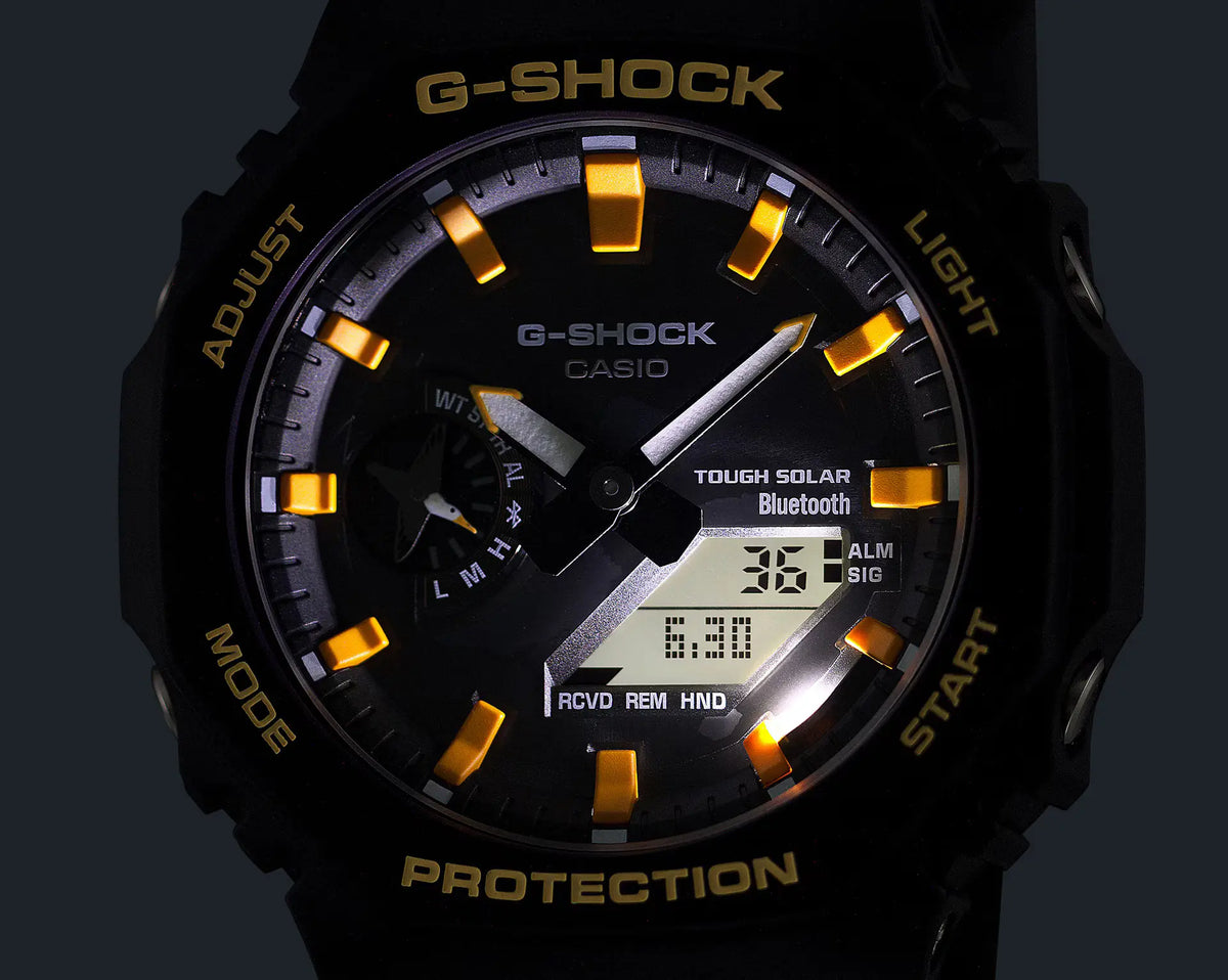GAB2100DF-1A Charles Darwin Foundation