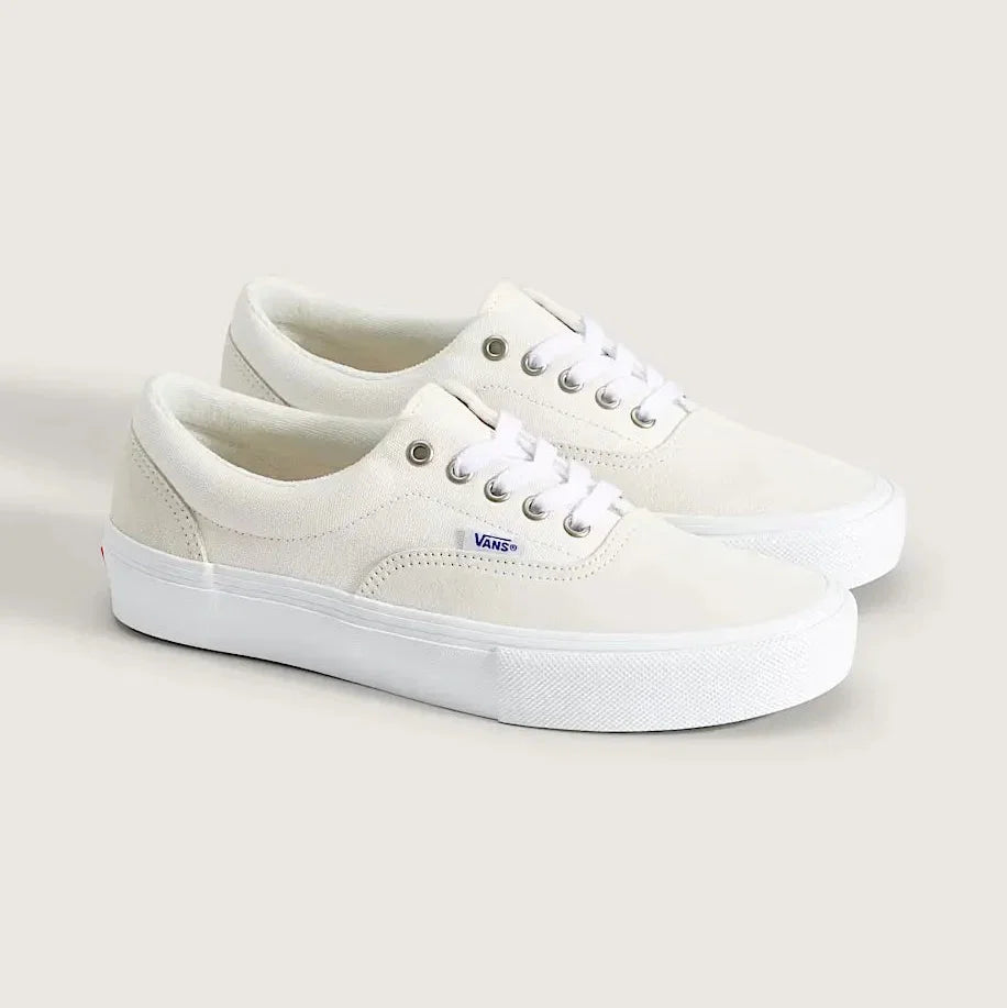 Skate Era