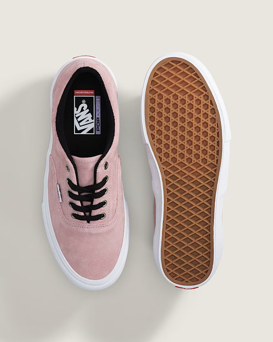 Skate Era