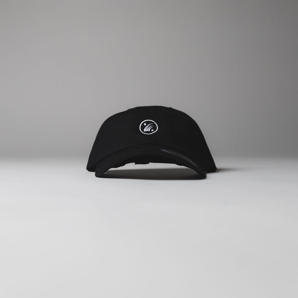Drift House Logo Hat