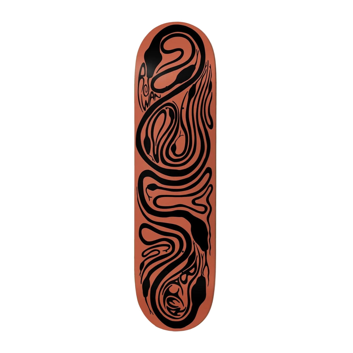 8.125" Rowan Brain Rabies Deck